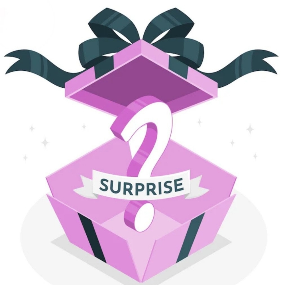 Lug Surprise Or Mystery  Box, Numerous Pieces